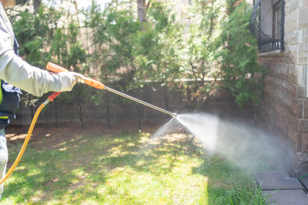 Seasonal Pest Control (e.g., summer mosquitoes, winter rodents) in Mims, FL